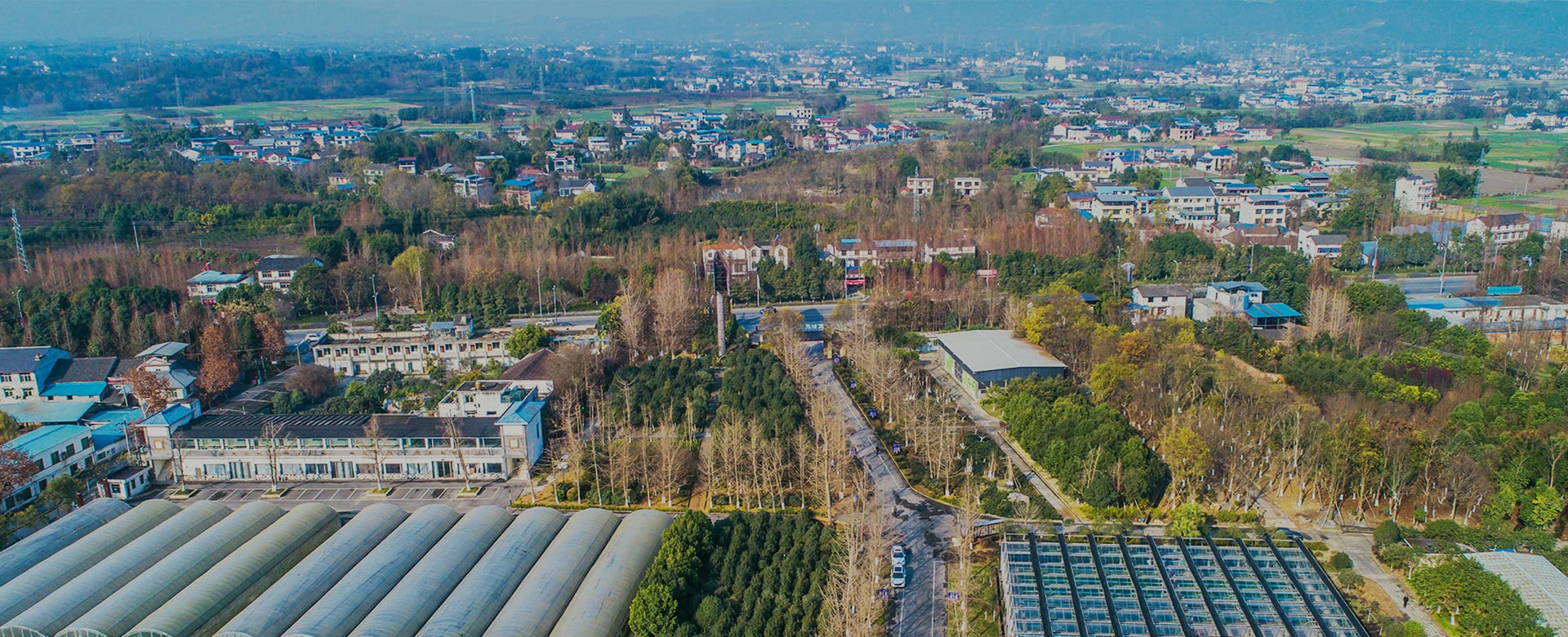蔬菜品種育苗、示范推廣、基地種植、農(nóng)產(chǎn)品生產(chǎn)、加工 、銷(xiāo)售